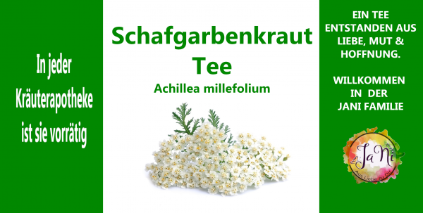 Schafgarbenkraut Tee | Achillea millefolium
